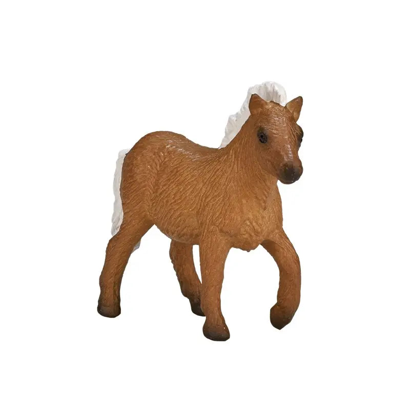 Potro Pony Shetland-Rincón del Valle