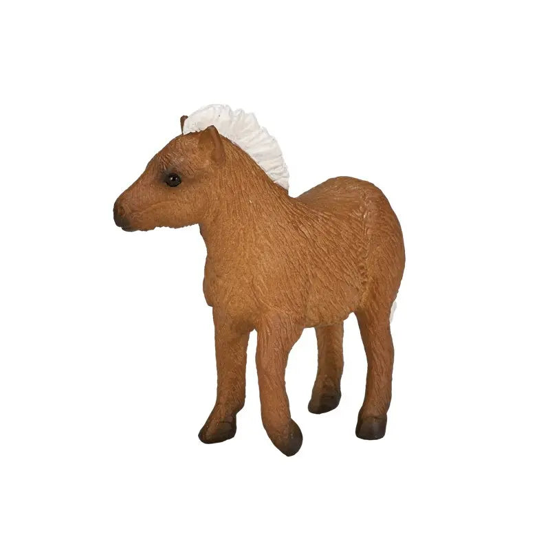 Potro Pony Shetland-Rincón del Valle