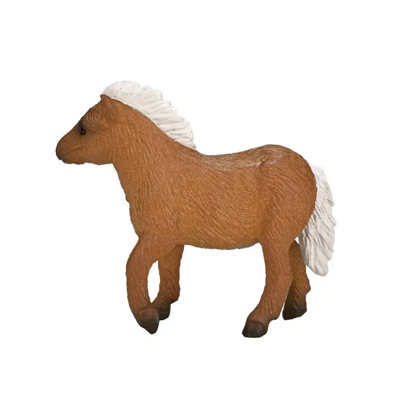 Potro Pony Shetland-Rincón del Valle
