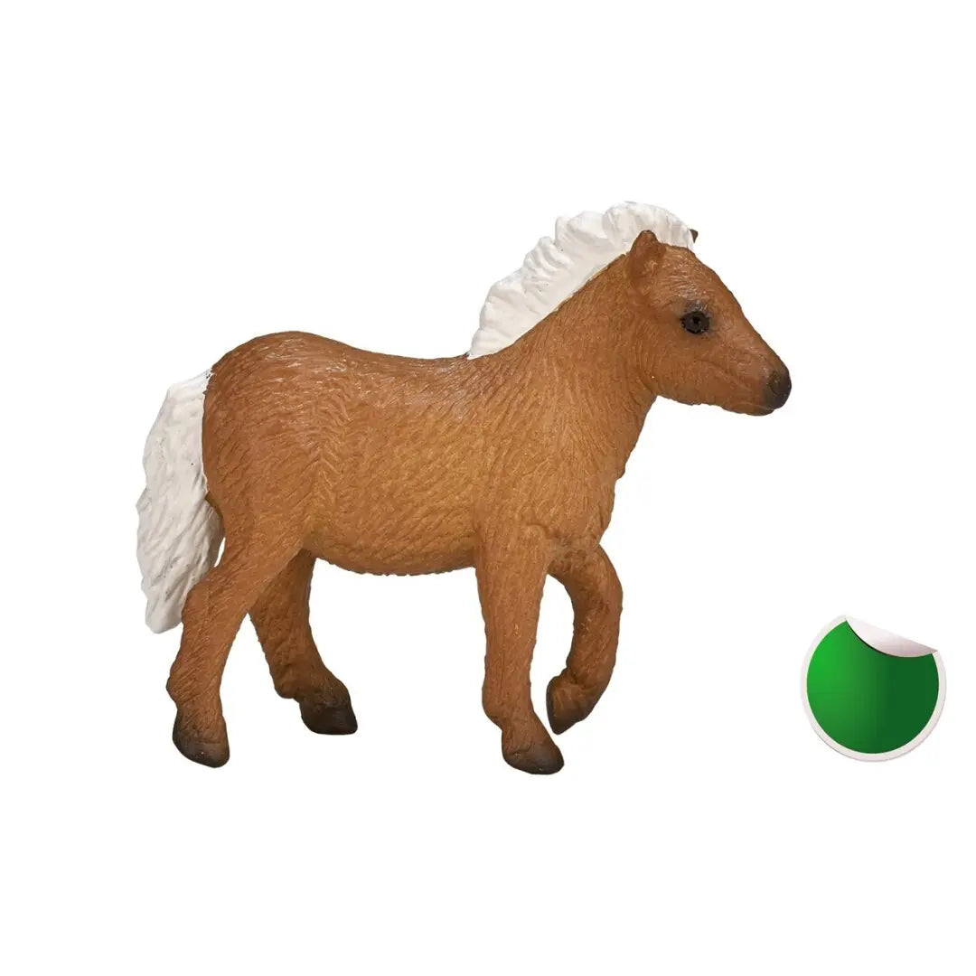 Potro Pony Shetland-Rincón del Valle
