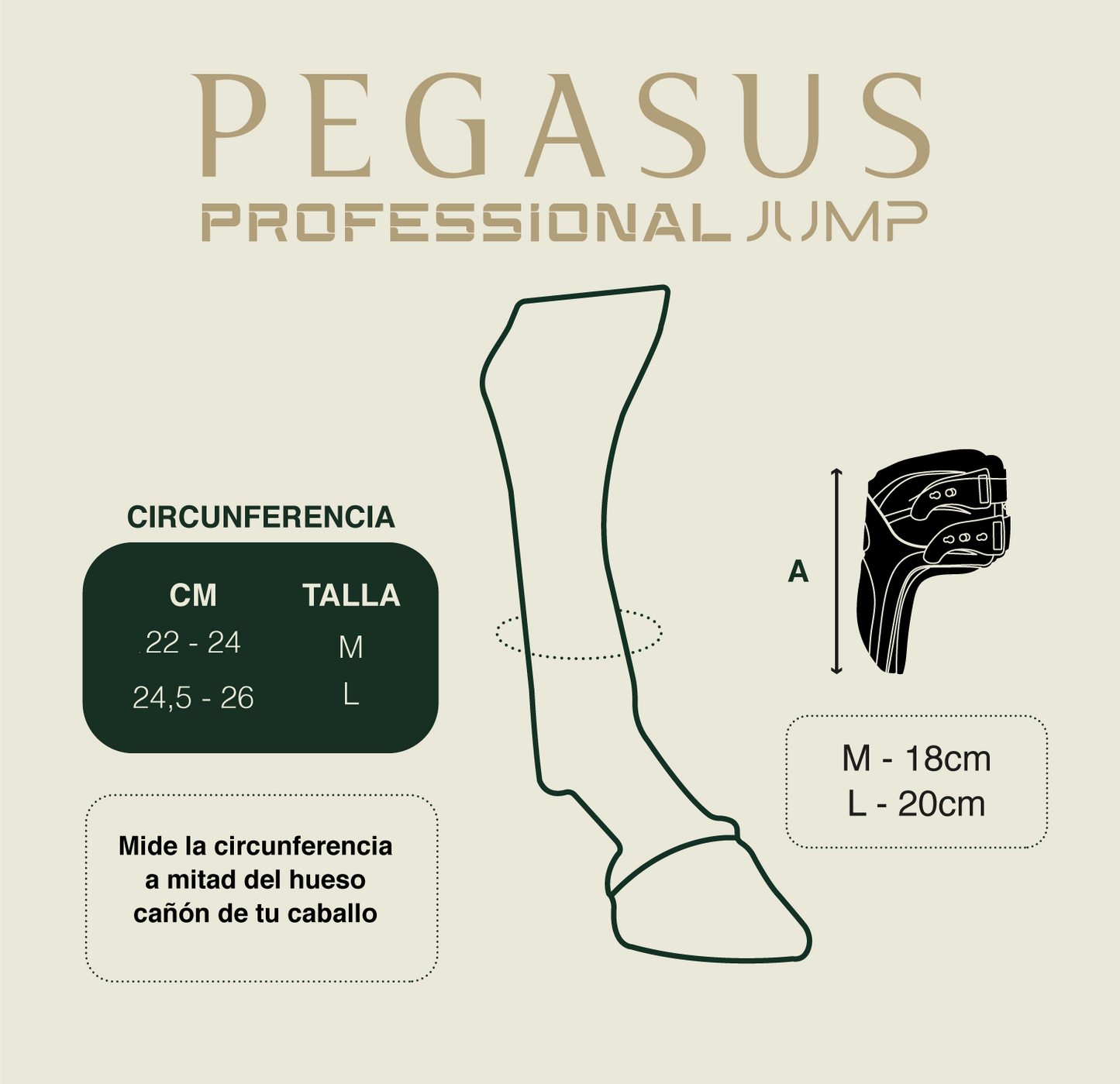 Protector de menudillo Pegasus Gatusos® (Salto)