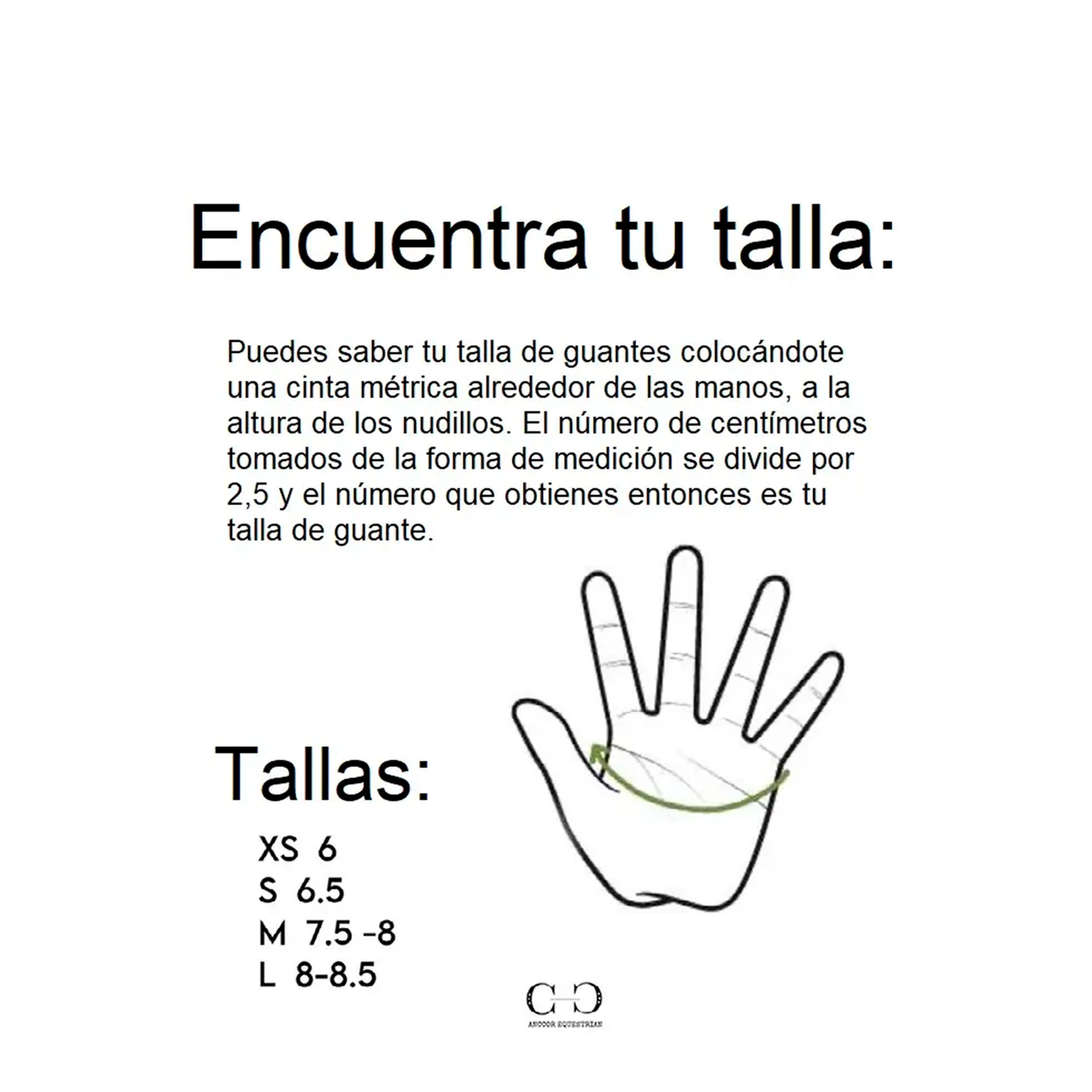 Guante Blanco Anccor-Rincón del Valle