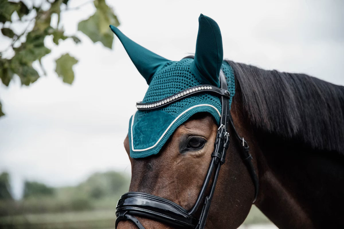 Ear Bonnets Kentucky Ear Bonnet Wellington Velvet detalle 21