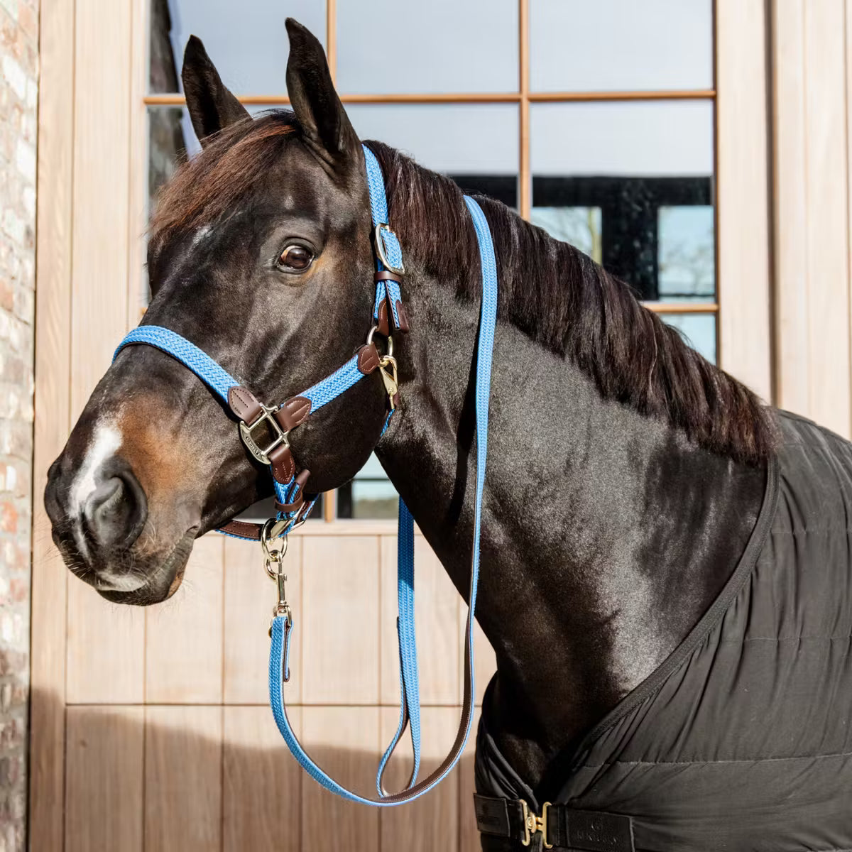 Lead Rope Kentucky Plaited Nylon Dog & caballo Lead detalle 11