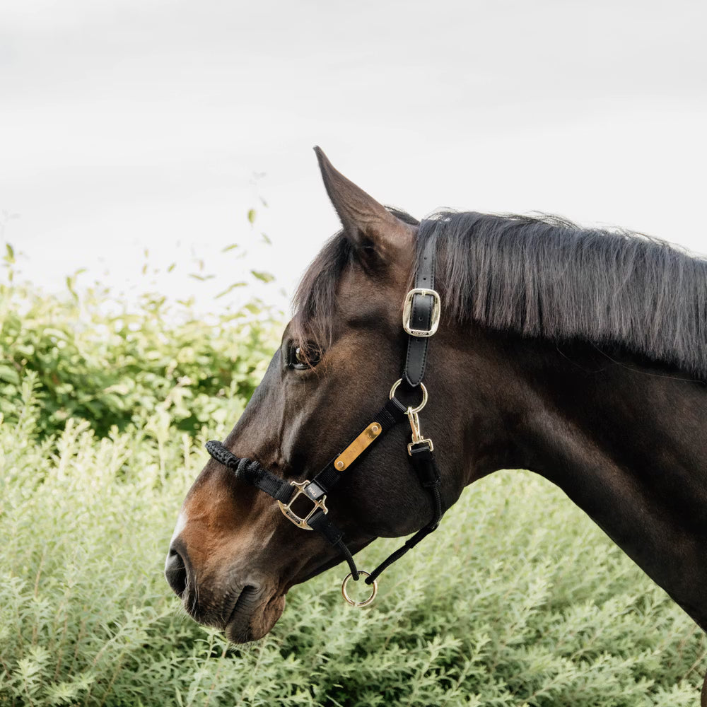 Halters Kentucky Control Halter detalle 2