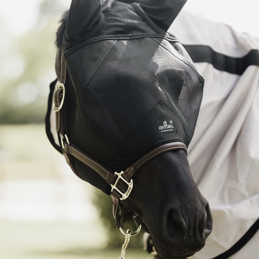 Máscara antimoscas Kentucky máscara antimoscas Classic con Ears para equitación - vista 2