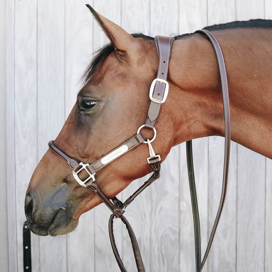 Ramal Kentucky Leather Covered Chain Lead para equitación - vista 2