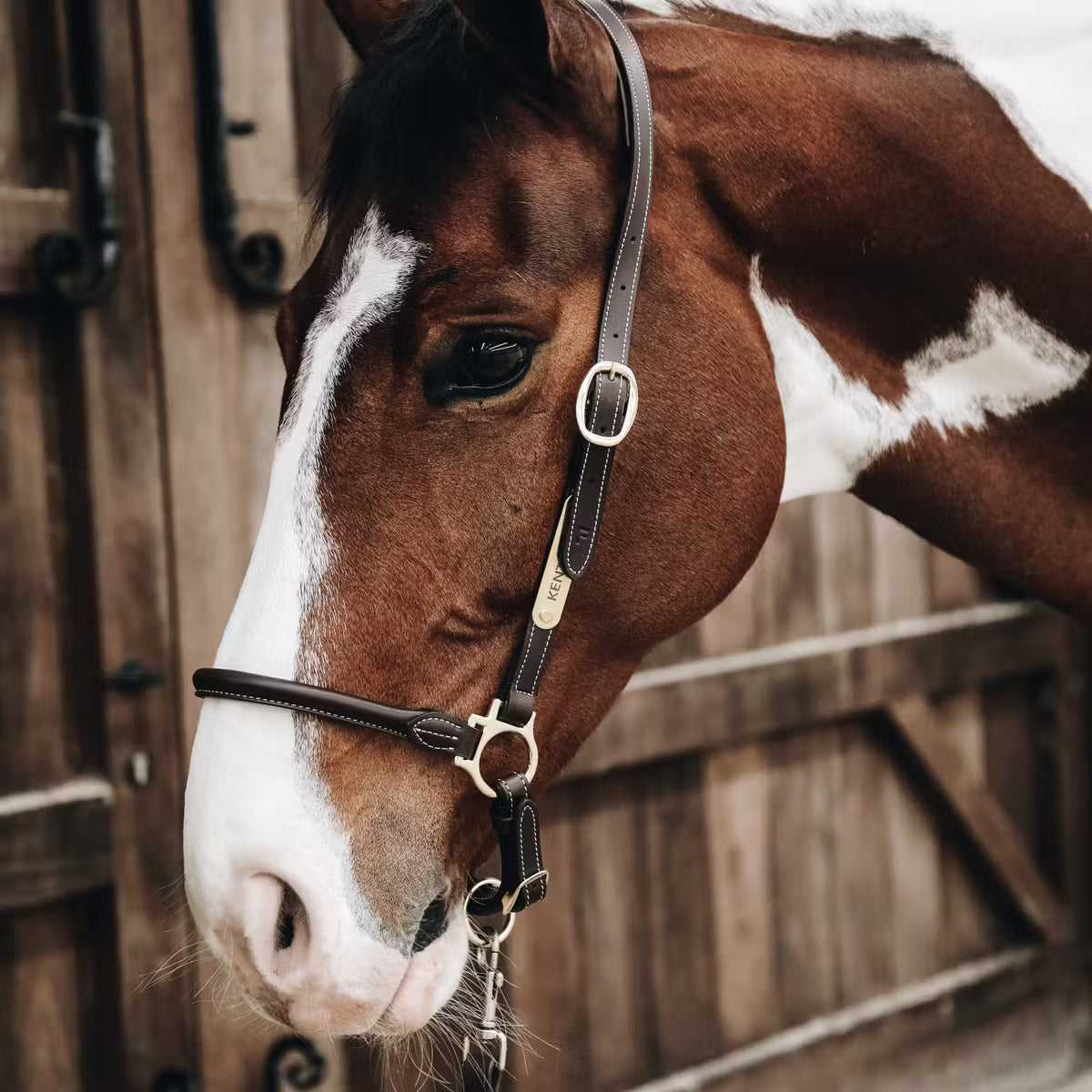 Grooming Halters Kentucky Grooming Halter detalle 2