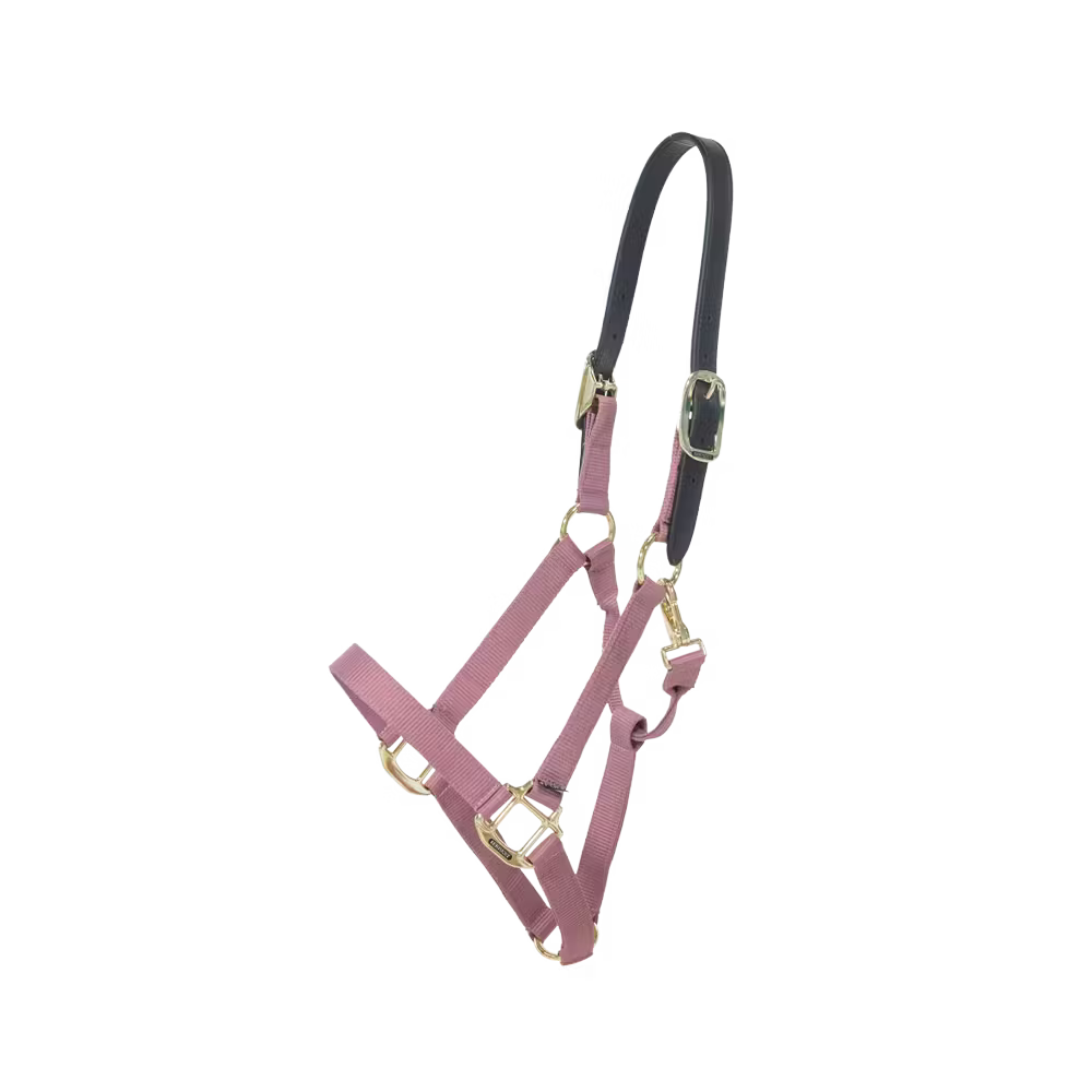 Halters Kentucky Nylon Halter Breakaway detalle 6