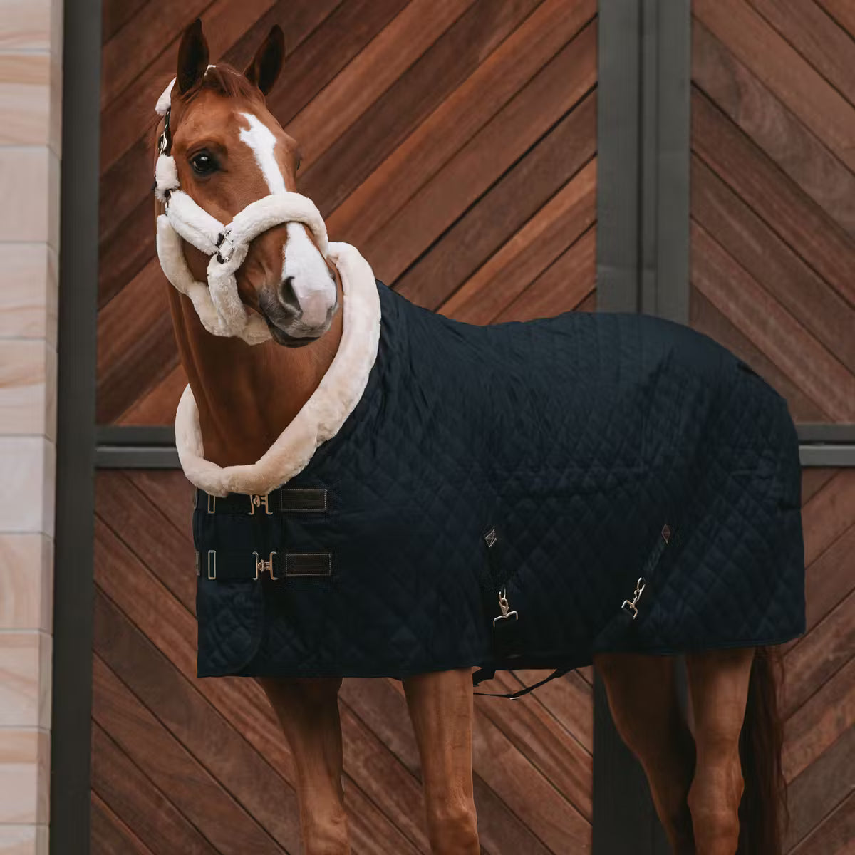 Manta para caballo Kentucky Show Rug Black detalle 3