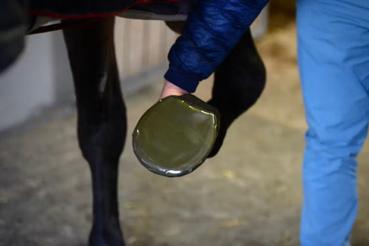Accesorio ecuestre Hoof Care Kentucky Sole Tape para equitación - vista 2