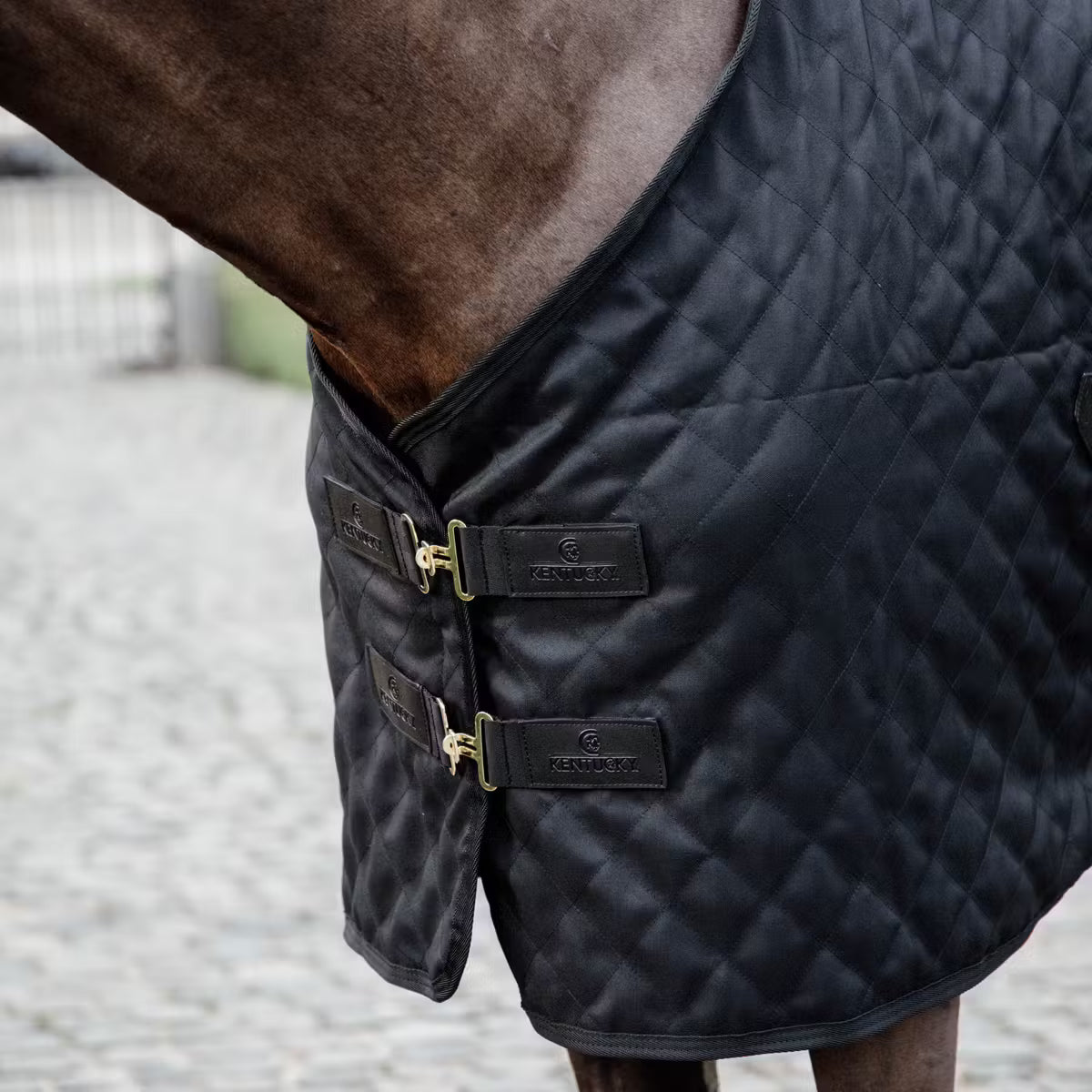 Manta para caballo Kentucky Stable Rug 0g Black detalle 3