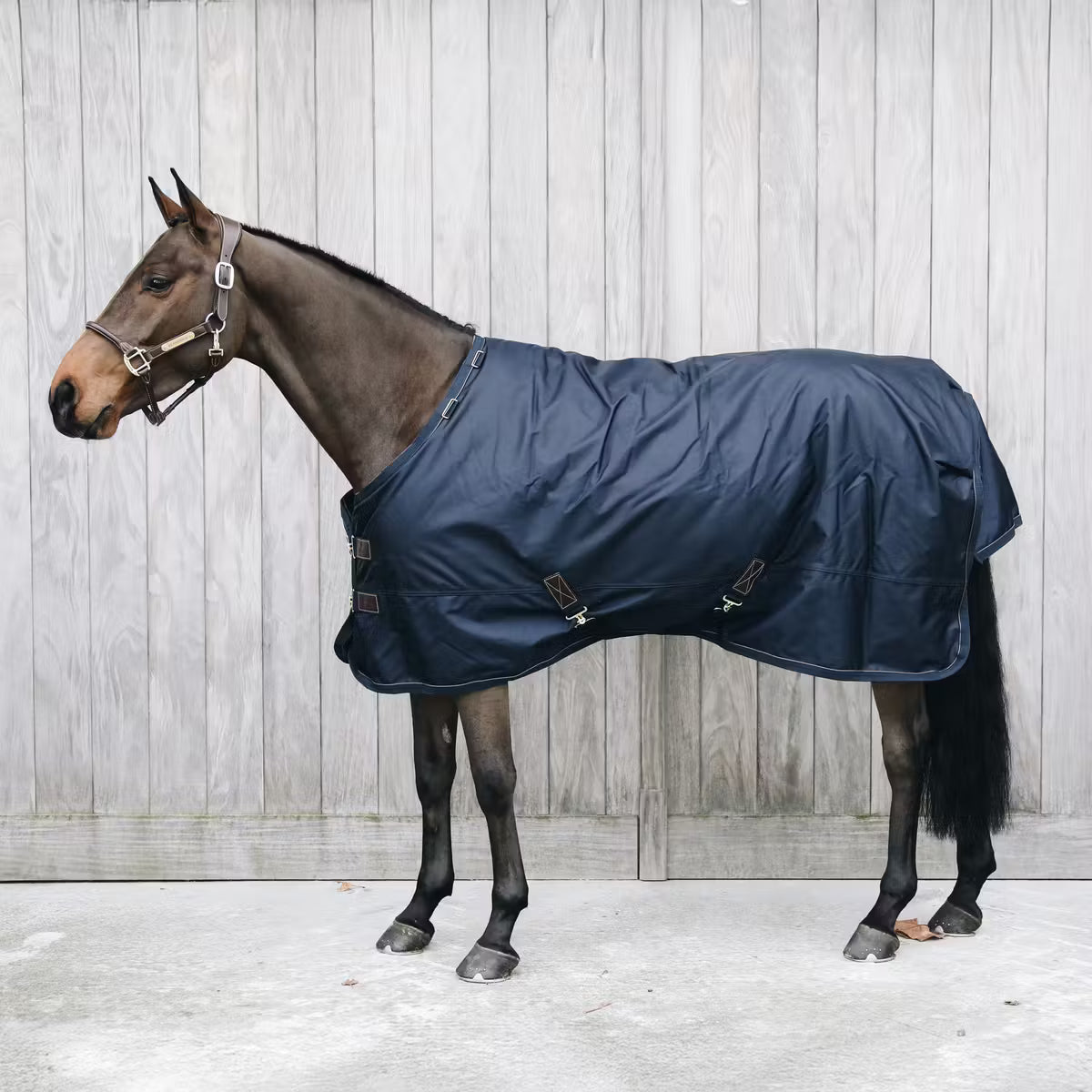 Manta para caballo Kentucky Turnout Rug All Weather impermeable Pro 300g Tiny detalle 4