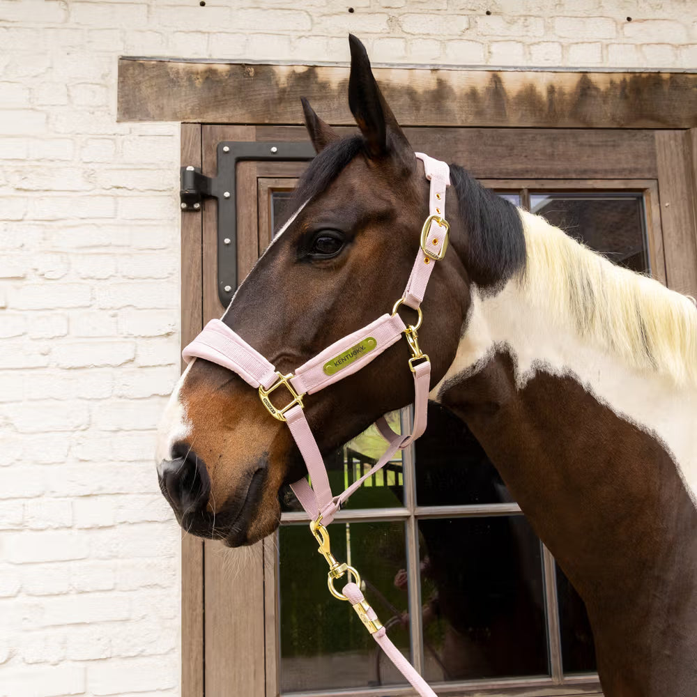 Halters Kentucky Velvet Halter detalle 13