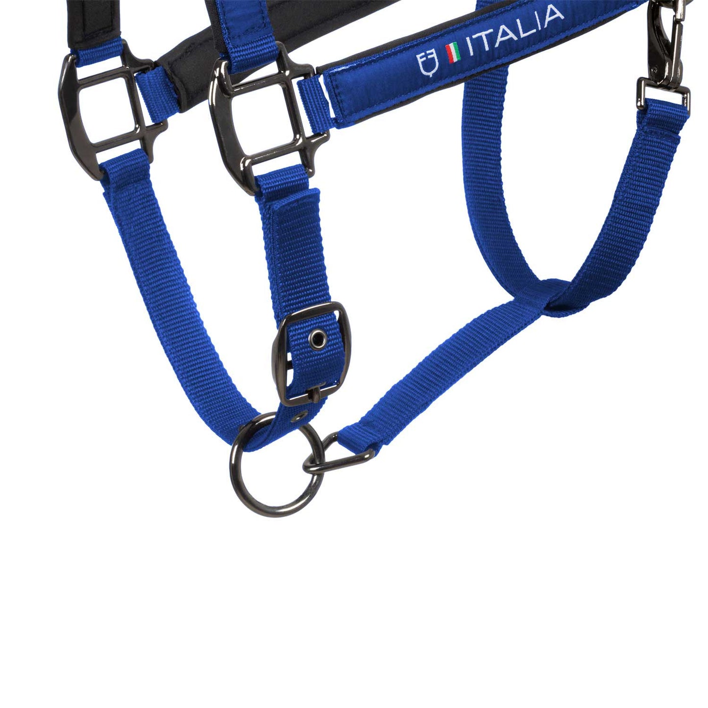 Cabezada acolchada de doble regulación Equestro X FISE - Azzurro Savoia