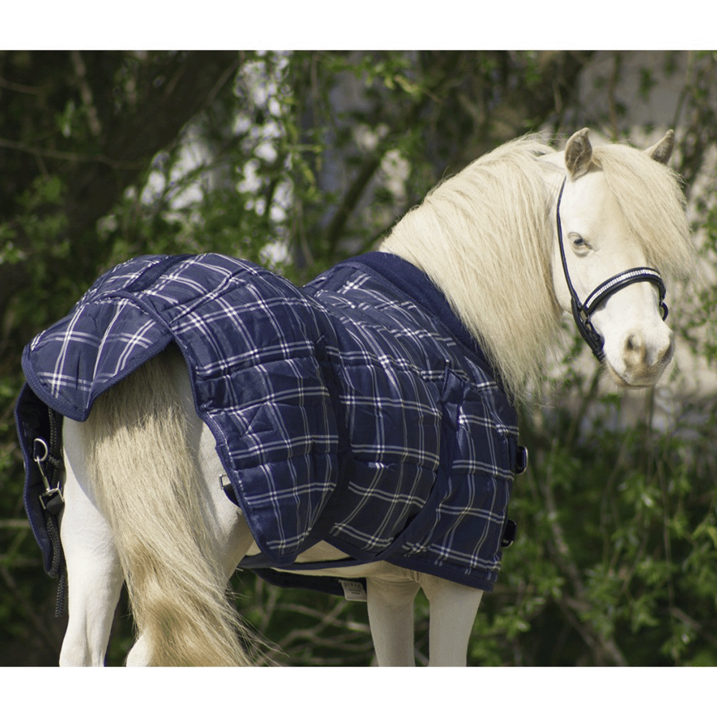 Manta de cuadra Luxury Falabella 200 gr QHP para equitación - vista 3