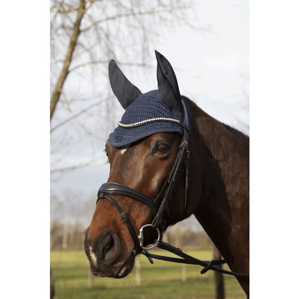 Orejeras Allround HKM para equitación - vista 10