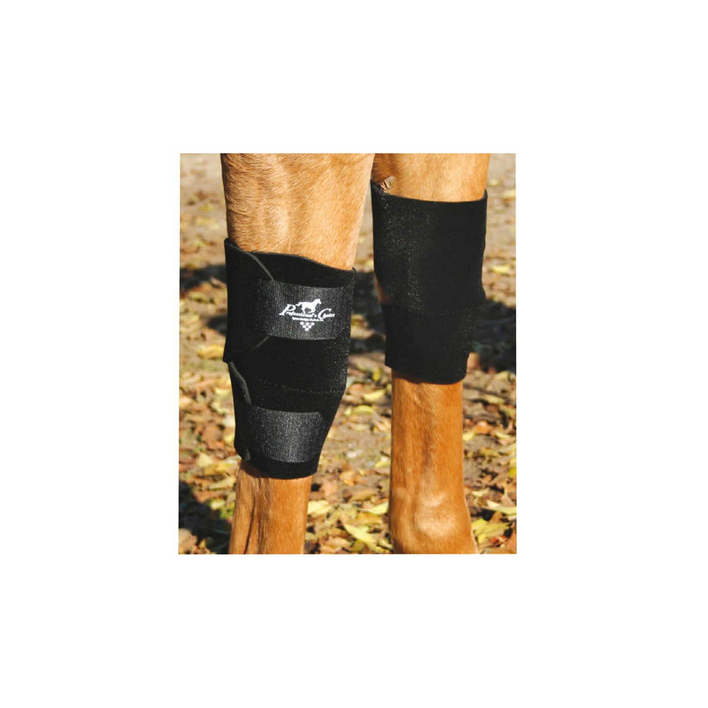 Rodillera caballo Professional's Choice KB101