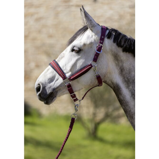 Ramal -Berry- HKM para equitación - vista 2