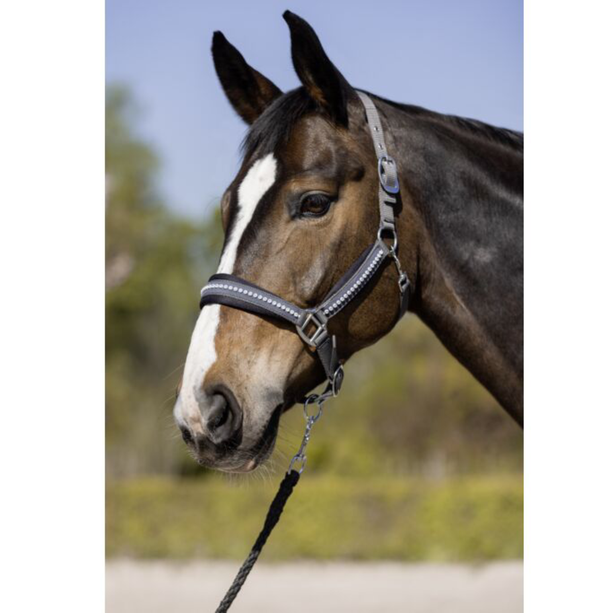 Ramal -Berry- HKM para equitación - vista 5