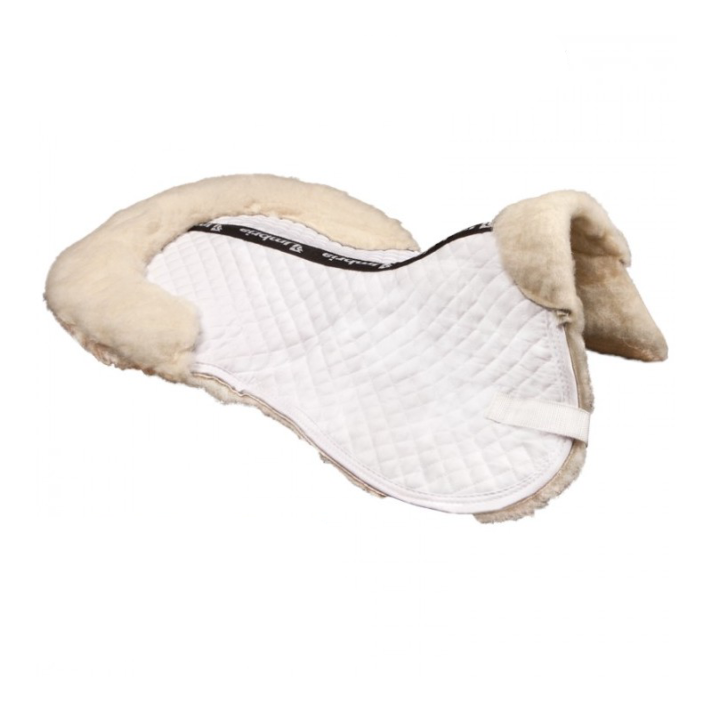 Salvacruces Borreguillo Zaldi-Rincón del Valle