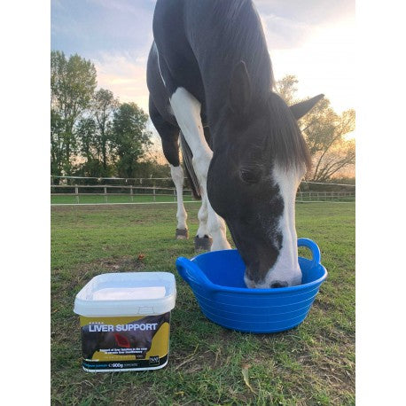 Alimento complementario - Liver Support - Naf