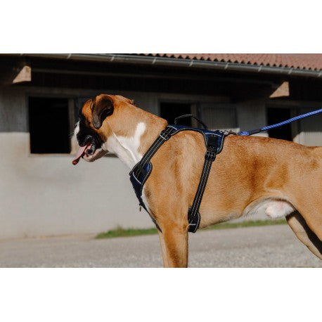 Arnés para perros - Simba - Riding World