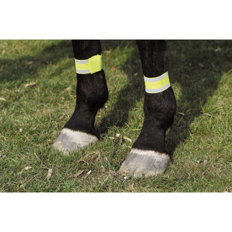 Bandages jaune - Norton