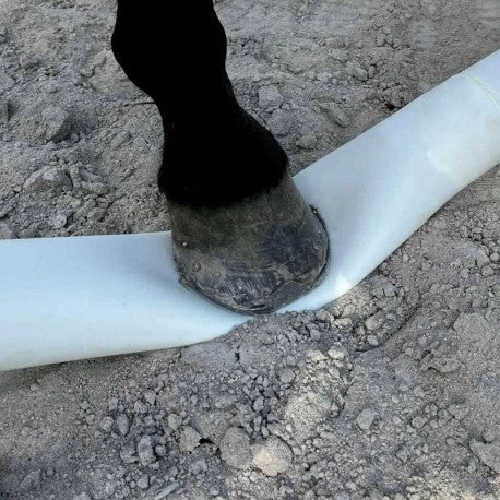 Accesorio ecuestre Barra de suelo modular – Flexible - Hippotonic para equitación - vista 2