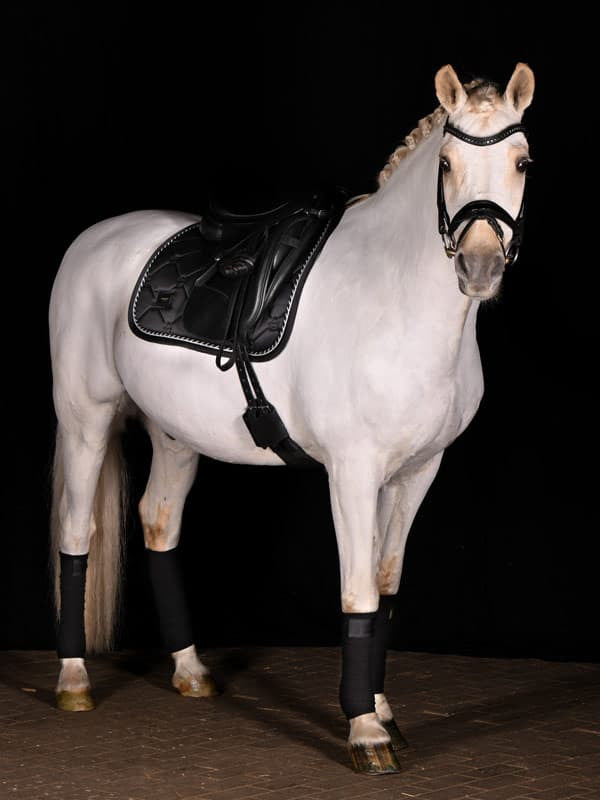 Mantilla Black Edition Equestrian Stockholm-Rincón del Valle