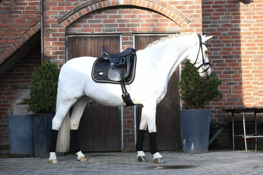 Mantilla Black Edition Equestrian Stockholm-Rincón del Valle