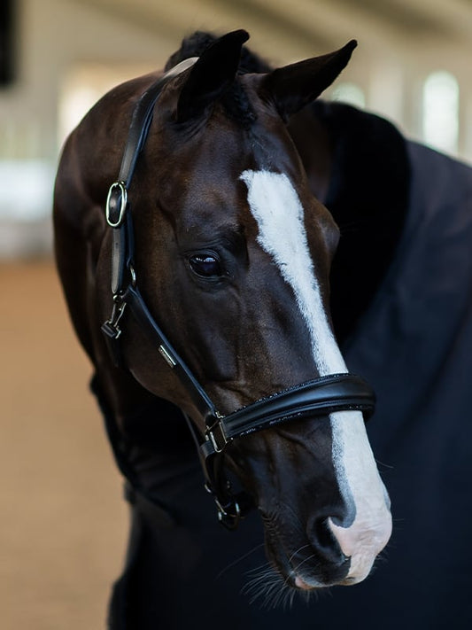 Anatomic Glimmer Leather cabezada de cuadra Equestrian Stockholm Glimmer Anatomic Leather para equitación - vista 2