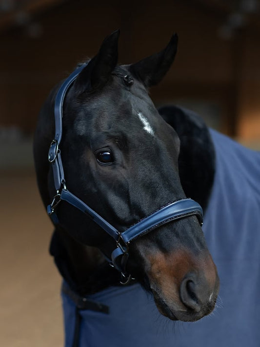 Anatomic Glimmer Leather cabezada de cuadra Equestrian Stockholm Glimmer Anatomic Leather para equitación - vista 2