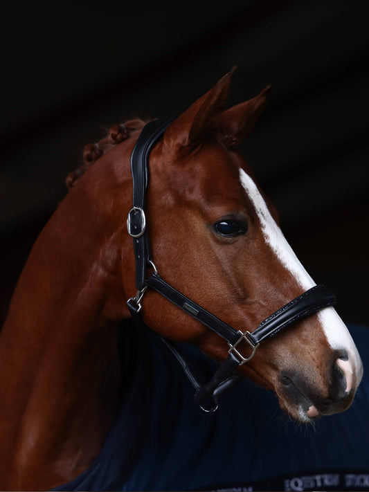 Anatomic Glimmer Leather cabezada de cuadra Equestrian Stockholm Glimmer Anatomic Leather para equitación - vista 2