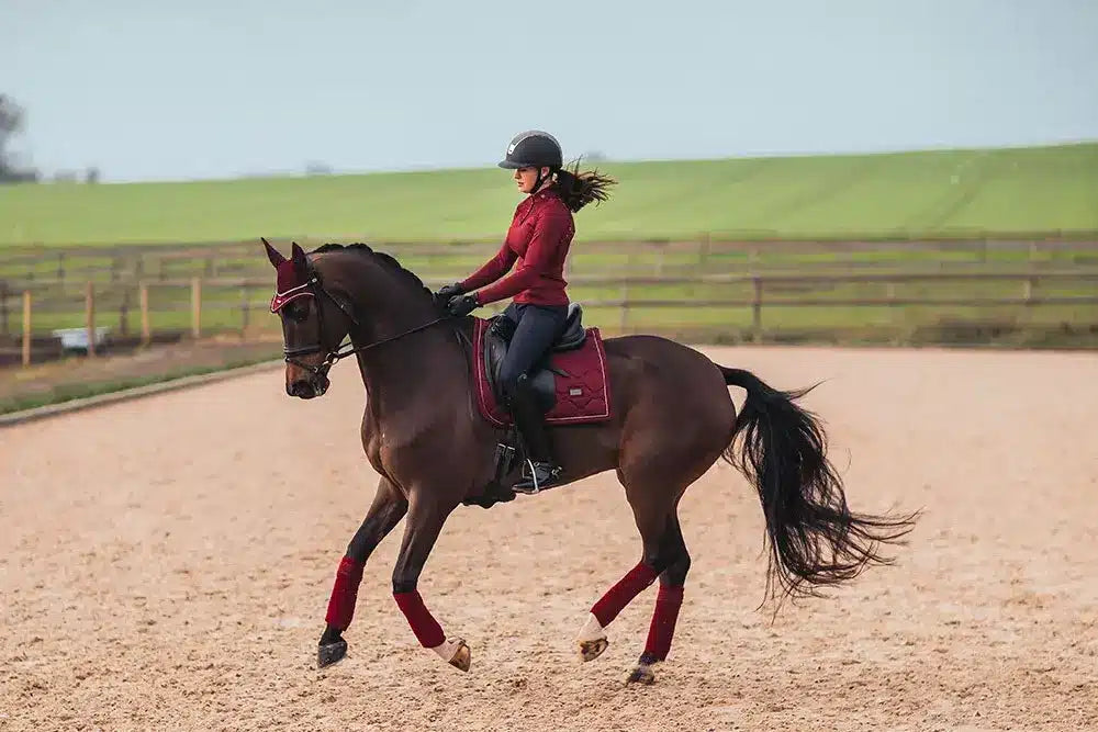 Vendas Bordeaux Equestrian Stockholm-Rincón del Valle