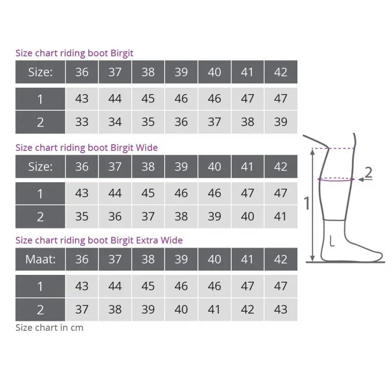 Botas De Montar Birgit Adulto Qhp-Rincón del Valle