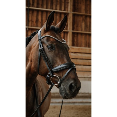 Embocaduras Bridon - Diams - Norton para equitación - vista 2