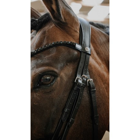 Embocaduras Bridon - Royal - Norton para equitación