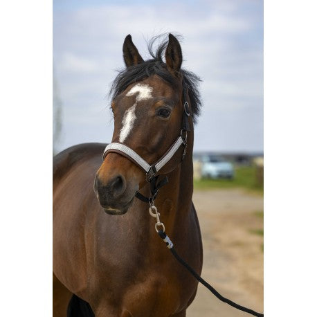 Cabezadas Cabestro - Cuadros de Nylon - Equithème para equitación