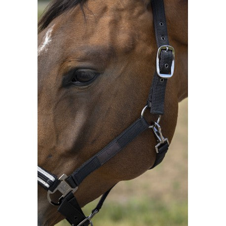 Cabestro - Nylon Chevron - Equithème