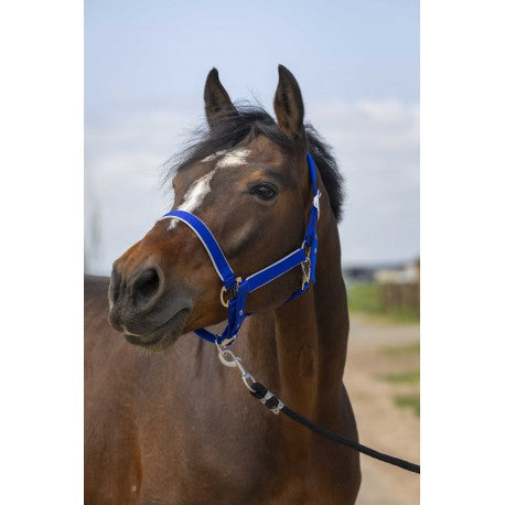 Cabezadas Cabestro - Nylon ligero - Equithème para equitación