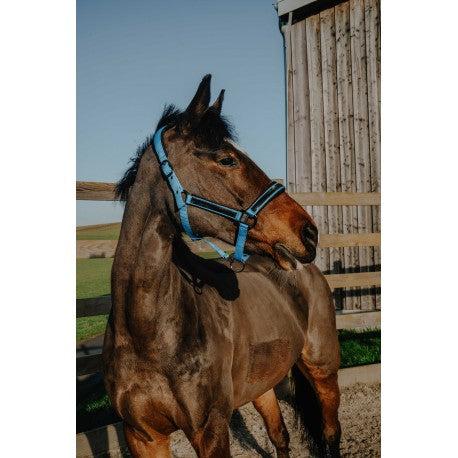 Cabestro - Strass - Equithème