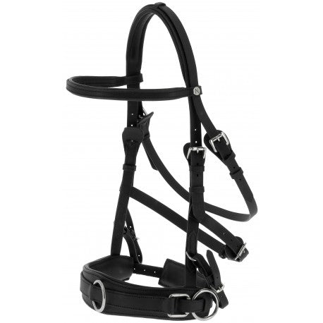 Cabezada ancha CLUB - Norton para equitación