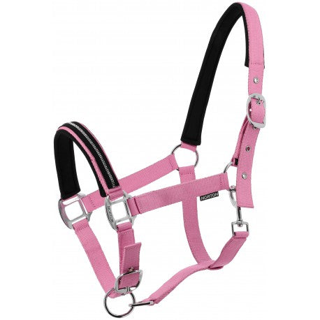 Cabezada Crystal - Norton para equitación