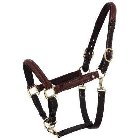 Cabezada de grooming Spring – Cuero engrasado - Norton para equitación