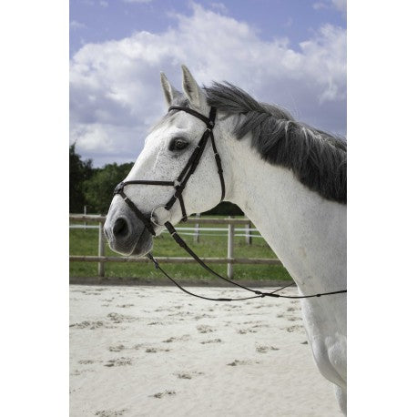 Cabezada de montar - Muserolle croisée - Riding World para equitación - vista 2