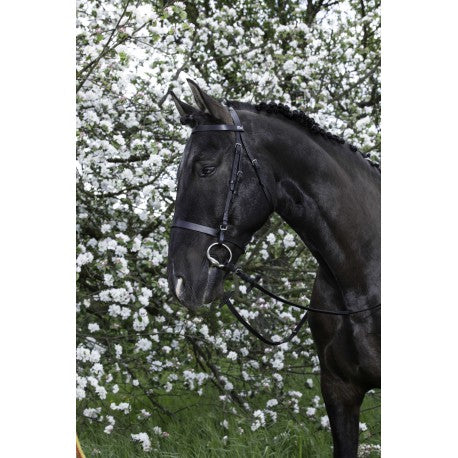 Cabezada de montar - Muserolle française - Riding World para equitación - vista 2