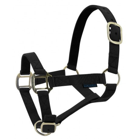 Cabezada de nylon forrada de cuero - Norton para equitación