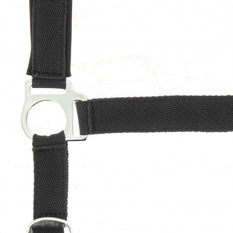 Cabezada de nylon - Forro de neopreno - Norton para equitación