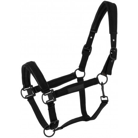 Cabezada - Pearl - Equithème para equitación